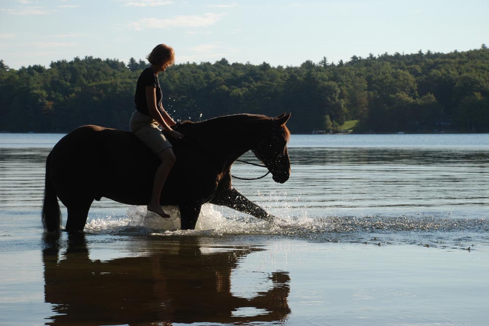 Wallis Cove Cabins - Equestrian